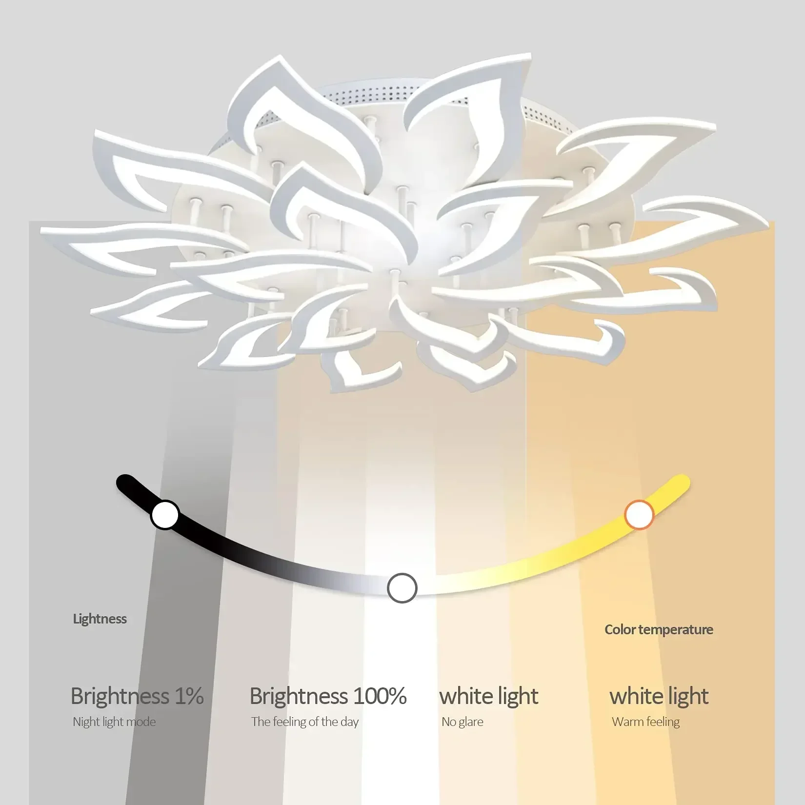 Designer LED Blütenblatt Kronl – Interior Design Studio Bewertung und Preis